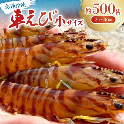 ふるさと納税 宜野座村 【養殖場から直送】急速冷凍車えび 小サイズ 500g(27〜36尾/500g×1P)