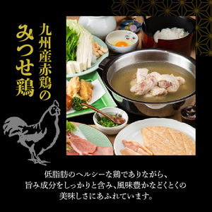 博多水たき濵田屋　水炊きセット2～3人前 博多 水炊き 2人前 〜 3人前 鍋 セット 鶏ガラ 香味野菜 出汁 スープ 赤鶏 みつせ鶏 低脂肪 ヘルシー 鶏 ぶつ切り ミンチ 旨み 風味 豊か まろや