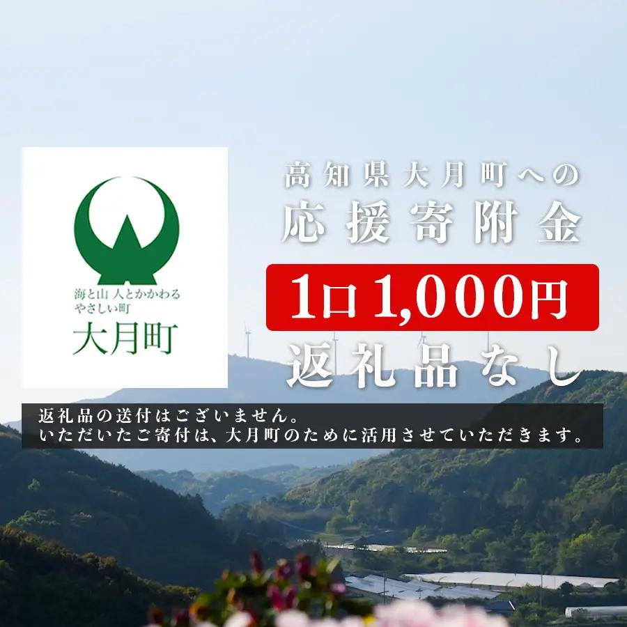 高知県大月町への応援寄付金【返礼品なし】