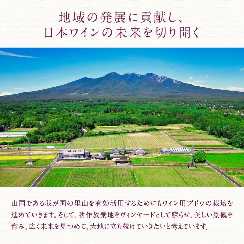 ロゼ サクラ メルロー2025 1本 [h135]
