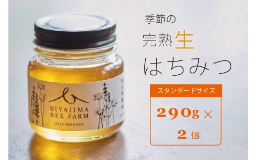BIYAJIMA BEE FARM『季節の完熟生はちみつ 一瓶290g（2個）』北信濃の大自然がぎゅっとつまった、完全非加熱・無農薬の国産蜂蜜【長野県信濃町ふるさと納税】
