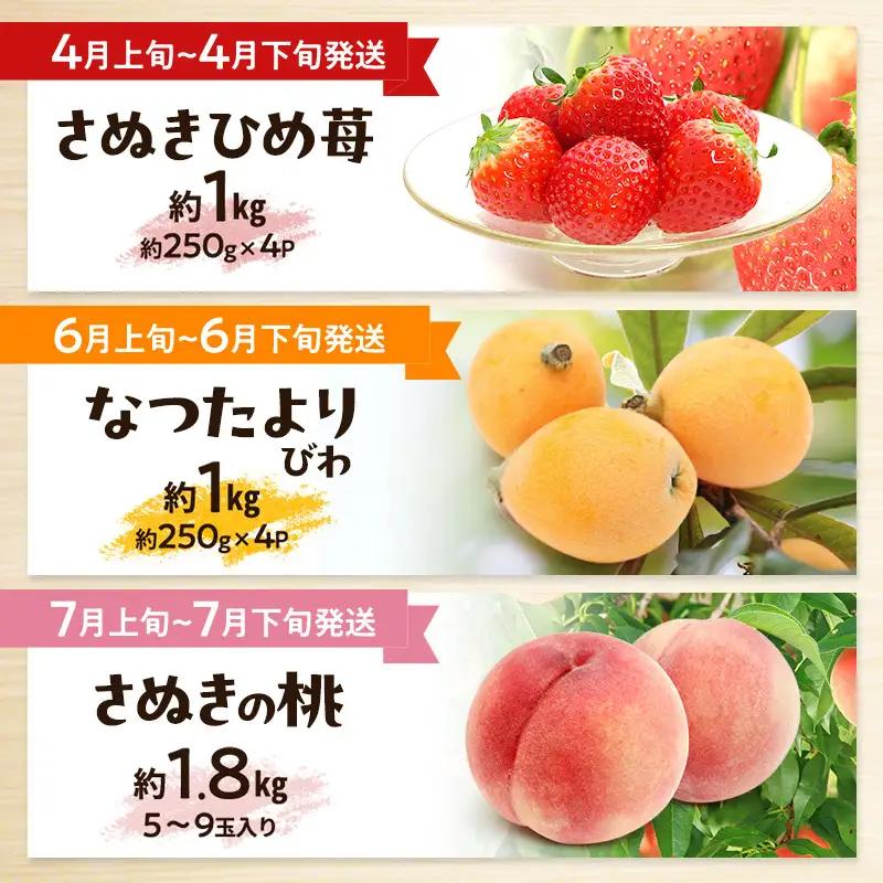 「生活応援企画！」讃岐のフルーツ定期便（全10回）