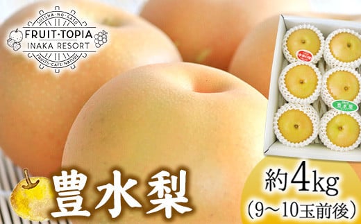 1.【先行予約】 産地直送 豊水梨 約4kg (9~10玉前後) 水車の里フルーツトピア 期間限定 岡山県 矢掛町産 なし 果物 スイーツ フルーツ デザート《9月上旬-10月上旬頃出荷》