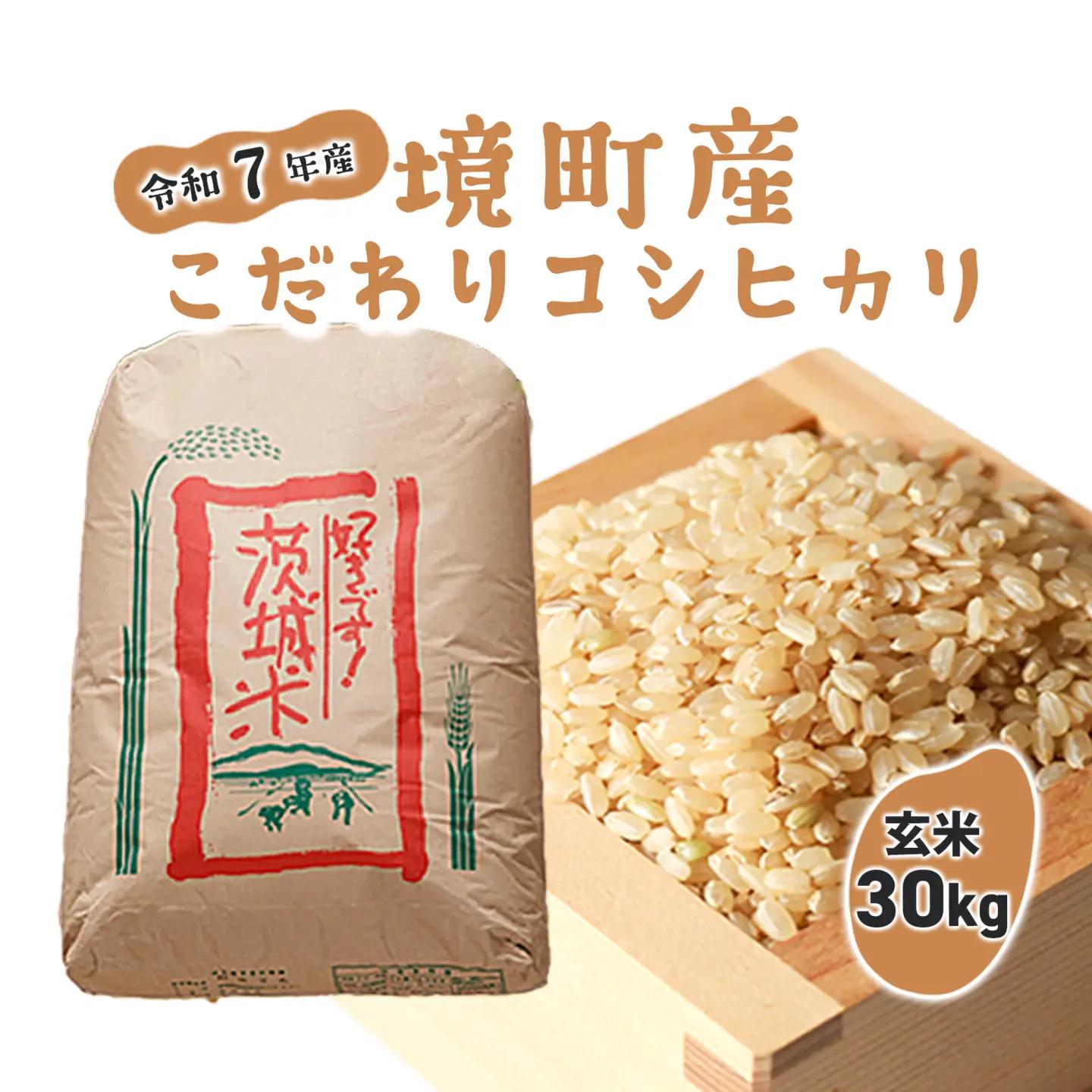 玄米 コシヒカリ 30kg 国産 令和7年産 S253