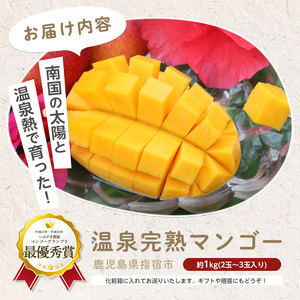 【2025年 発送】鹿児島県いぶすき産 温泉完熟マンゴー約1kg(T&P/022-1752) マンゴー マンゴー フルーツ 果物 旬 夏 指宿 いぶすき 鹿児島  完熟  お供え 御供 ギフト 贈り物