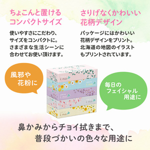 【2ヵ月連続お届け・計120箱】エリエール i:na (イーナ) 北海道 ティシュー 150組5箱 12パック ティッシュペーパー 箱ティッシュ まとめ買い 防災 常備品 備蓄品 消耗品 日用品 生活