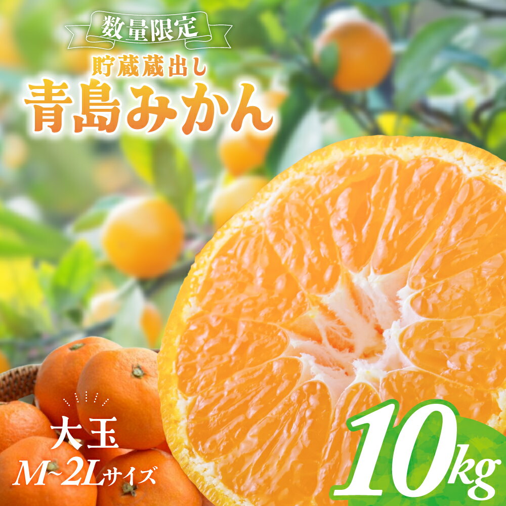 【ふるさと納税】貯蔵蔵出し 青島みかん 大玉 M～2Lサイズ 10kg 蜜柑 みかん ミカン 柑橘類 数量限定 旬 柑橘 フルーツ 果物 くだもの 貯蔵みかん 人気 三重県 多気町 JA-06
