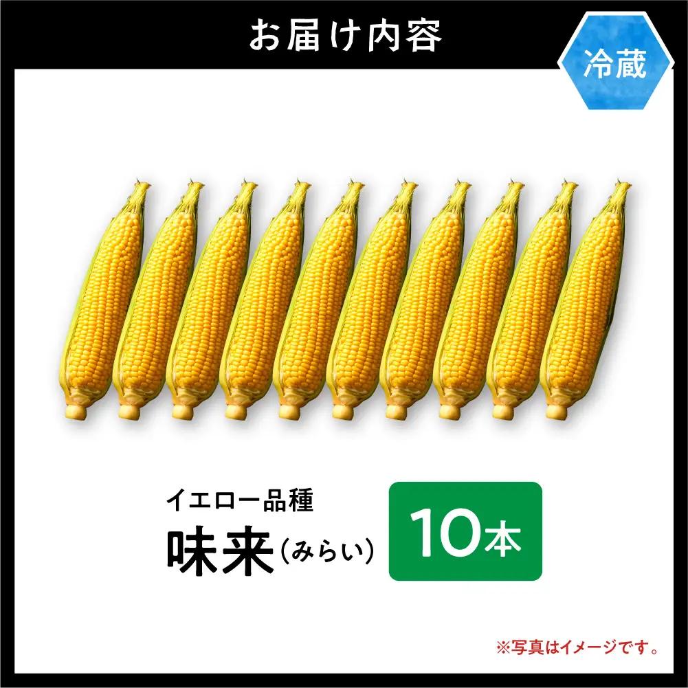 【2026年先行予約】照之家商店 鮮度抜群とうもろこし10本 味来 北海道産 当別町