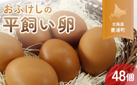 北海道 豊浦 おふけしの平飼い卵 48個 【 ふるさと納税 人気 おすすめ ランキング 穀物国産 卵 たまご 鶏 ニワトリ 平飼い おいしい 美味しい 新鮮 北海道 豊浦町 送料無料 】 TYUZ003
