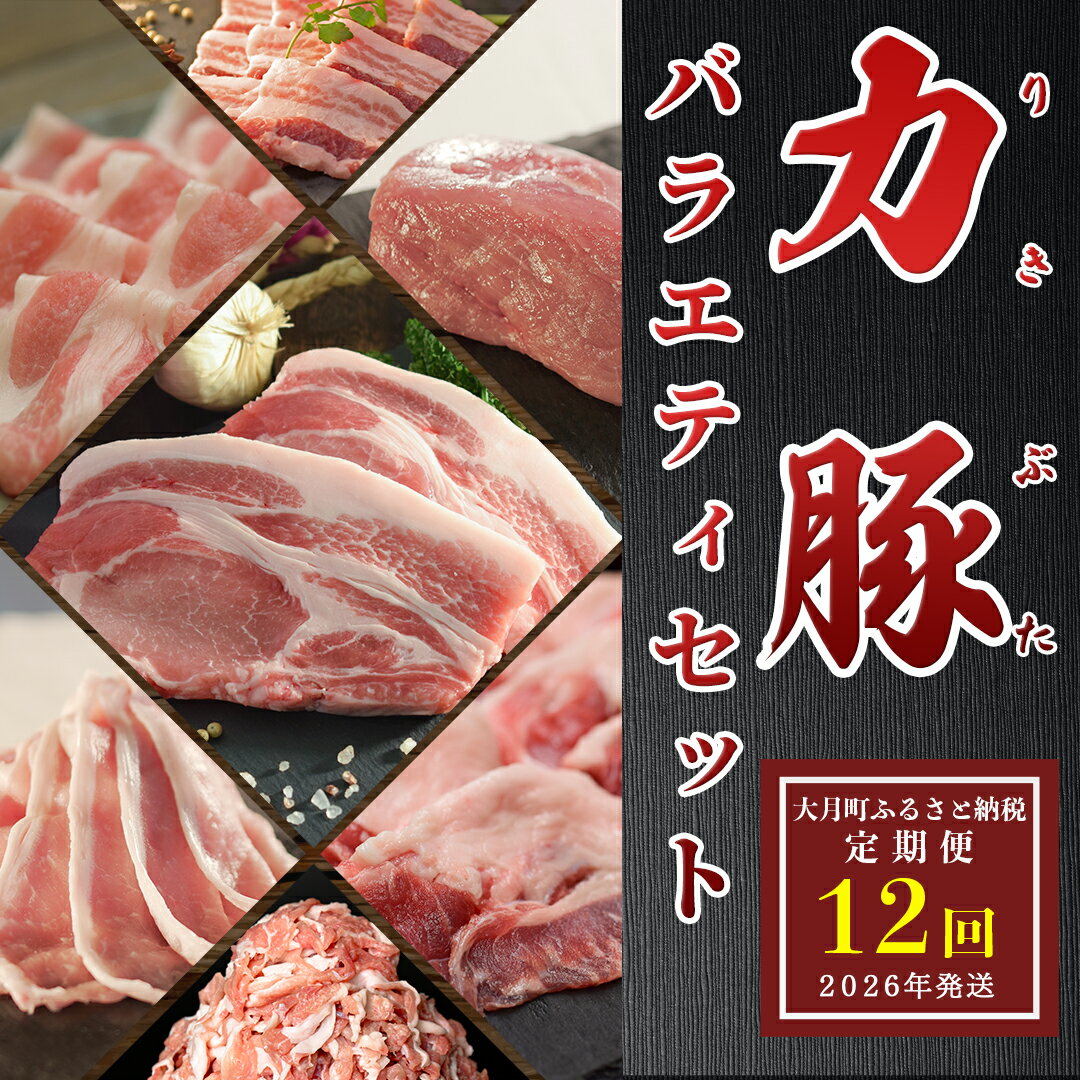 【ふるさと納税】【定期便 12回】ブランド豚 力豚バラエティーセット