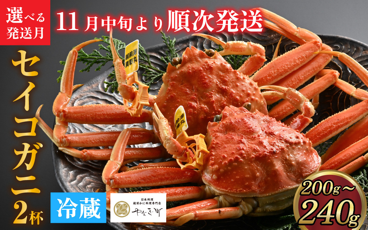 
            【先行予約】[到着日指定可]蟹好きにおすすめ！老舗カニ専門店の「セイコガニ大サイズ（200～240g）2杯」【11月中旬より順次発送】[C-085027]
          