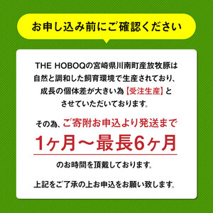 豚肉【小分け！】宮崎県産豚肉放牧豚こま切れ10袋(計2.5㎏)