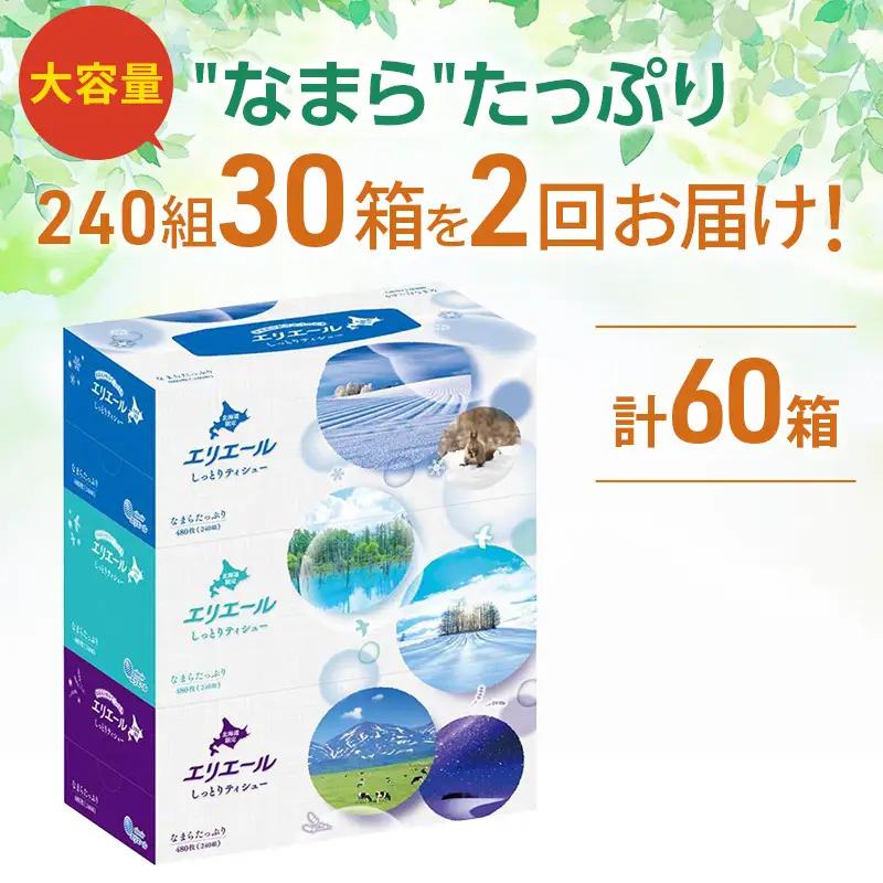 【2回お届け 計60箱】エリエール 北海道 しっとりティシュー なまらたっぷり 240組3箱 10パック ふるさと納税限定デザイン ボックスティシュー 箱ティッシュ ペーパー 備蓄品 花粉 保湿成分 
