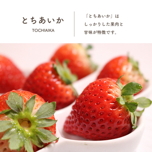 【定期便2回】那珂川町産とちあいか 朝採れ当日発送 270ｇ×4Ｐ