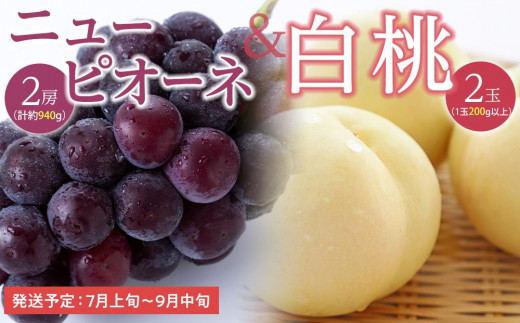 
            桃 ぶどう 2026年  白桃 2玉（1玉200g以上） ニュー ピオーネ 2房（合計約940g）詰合せ｜フルーツ 果物 くだもの もも ぶどう モモ ブドウ 桃 葡萄 白桃 ピュオーネ ニューピュオーネ 2玉 2房 計約940g食品 人気 おすすめ 送料無料 ギフト 贈り物 贈答品 プレゼント
          