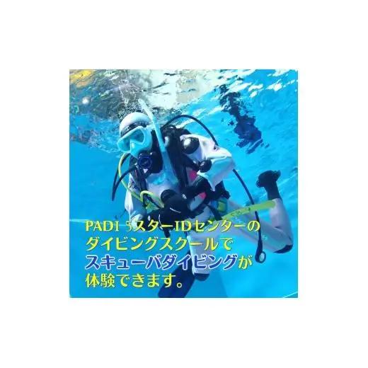 親子でダイビング体験 3時間 ダイビング専用プール貸切り 大人1名子供1名様 貸切り体験 ダイビング専用プール スキューバダイビング 千葉 スクーバダイビング 体験ダイビング アクティビティ PADI