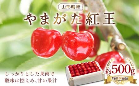 《先行予約》2026年 山形県産 やまがた紅王 特選桐箱詰 約500g やまのべ多田耕太郎のさくらんぼ F4A-1000