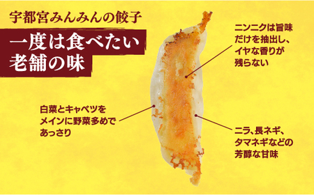 【宇都宮みんみん】　餃子30個入り×2箱【配送不可地域：離島 】◇｜ぎょうざ ｷﾞｮｳｻﾞ 餃子 ｷﾞｮｰｻﾞ 惣菜 名物 グルメ おかず ぎょうざ 餃子 ｷﾞｮｰｻﾞ ご飯 おつまみ 餃子