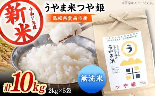 お米【無洗米】神話の里/吉田町「うやま米」つや姫 10kg（2kg×5）無洗米 精米 コメ おこめ お米 つやひめ おすすめ 人気 米 ごはん ご飯 食卓 主食 ブランド米 お取り寄せ グルメ ご当地米 家族 ファミリー 一人暮らし 便利 10キロ おいしい ごはんソムリエ 種もみ ミネラル 国産 新生活 お弁当 朝ごはん 朝食 昼食 ご当地 島根県雲南市/有限会社藤本米穀店 [AIDB094]