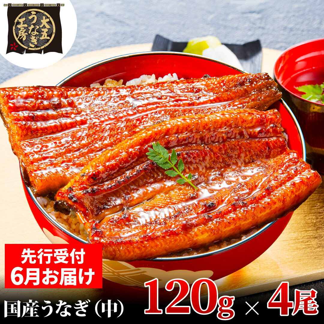 【ふるさと納税】先行受付 【6月上旬配送】 うなぎ蒲焼 120g×4尾(480g) うなぎ 鰻 蒲焼 蒲焼き 大五通商 静岡 島田市　お届け：2025年6月2日～2025年6月10日
