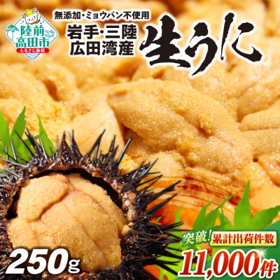 ふるさと納税 陸前高田市 【先行受付】 三陸産 生うに 250g(塩水パック) 無添加 ミョウバン不使用 ウニ 旬 新鮮 濃厚