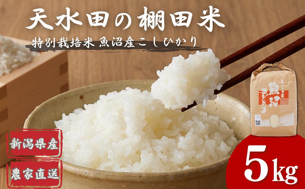 わかとち産 魚沼コシヒカリ特別栽培棚田米 5kg