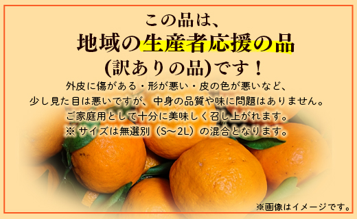 ぽんかん 5kg(約30～50個程度) 訳あり 山北ポンカン - 果物 フルーツ 柑橘類 ぽんかん ミカン 蜜柑 訳アリ わけあり 生産者応援 甘い おいしい 美味しい 山北みらい 高知県 香南市 y