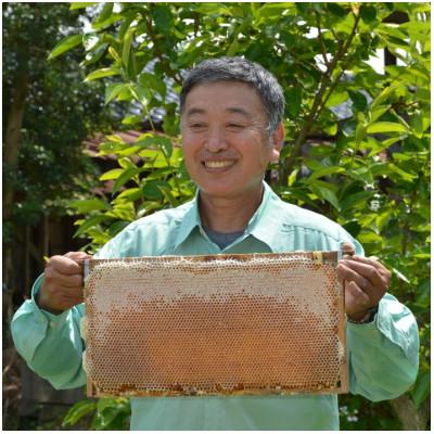 ふるさと納税 羽咋市 能登産天然はちみつ『りんご蜂蜜&アカシア蜂蜜&百花蜂蜜』セット |  | 02