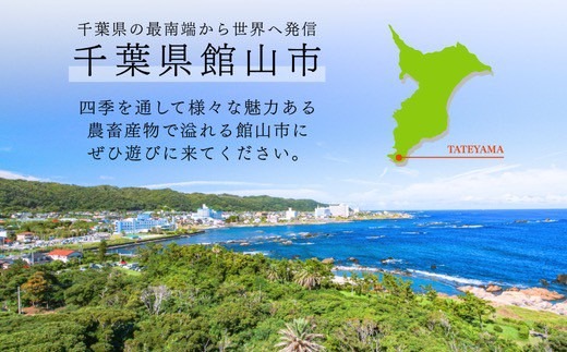 千葉県産こしひかり(精米)10kg(5kg×2袋)【1673834】