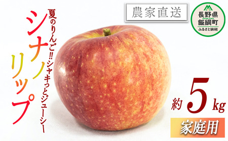 りんご 暑さに負けないシナノリップ 家庭用 5kg 大友農場 エコファーマー認定 沖縄県への配送不可 2025年8月中旬頃から2025年9月上旬頃まで順次発送予定 令和7年度収穫分 信州 果物 フルーツ リンゴ 林檎 長野 予約 農家直送 長野県 飯綱町 [1024]