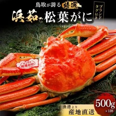 【蟹セレブ】松葉がに(タグ付)約500g×1杯【配送不可地域：離島・北海道・沖縄県】【2001943】