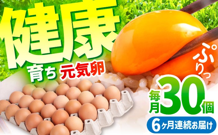 
            【6ヶ月定期便】元気卵 180個（30個×6回） / 卵 健康 国産 定期便 たまご 新鮮卵 たまごセット 卵定期便 たまご定期便 たまご タマゴ 玉子 鶏卵 朝食 オムレツ 卵かけご飯 卵焼き 6カ月 6ヵ月 6ケ月 6か月/ 亀山市 / 藪本養鶏園 [AMBH003]
          
