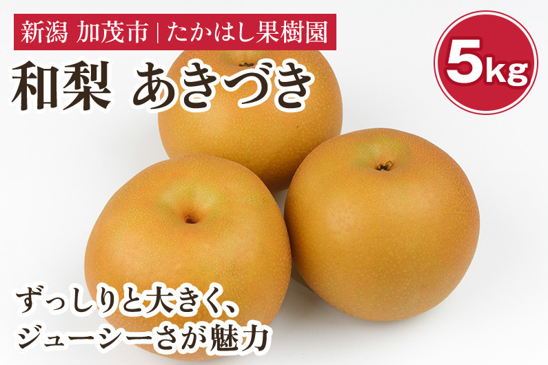 
                  【2026年先行予約】たかはし果樹園 謹製 新潟県産和梨 あきづき 約5kg《9月中旬～順次配送》 果物 フルーツギフト 秋の味覚 産地直送 加茂市 たかはし果樹園
                