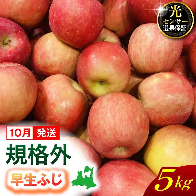 【2026年10月発送】【規格外】 りんご 約5kg 早生ふじ 《 光センサー選果保証 》 青森県産 りんご フルーツ