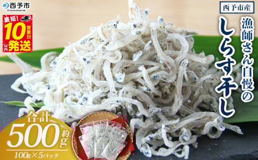 ＜漁師さん自慢のしらす干し 合計500g（1パック100g入り）＞ シラス 魚介類 さかな 海産物 海鮮 海の幸 小分け 国産 ご飯のお供 丼 おつまみ 晩酌 おかず おやつ 特産品 産地直送 濱田水産 愛媛県 西予市 【冷凍】