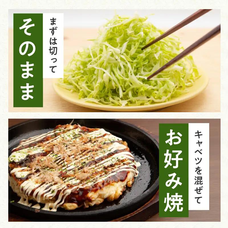 【先行予約】射手矢さんちの泉州キャベツ 5kg