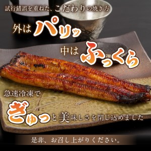 《14営業日以内に発送》オホーツクの綺麗な地下水で育った 北海道 うなぎ 2尾 ( 蒲焼 蒲焼き 丑の日 土用丑の日 )【160-0002】