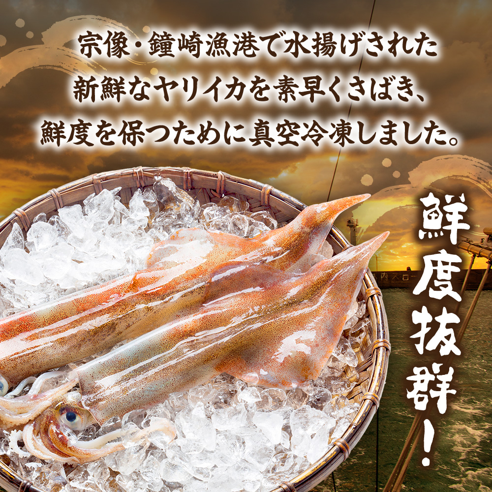 刺身用 新鮮ヤリイカ2杯セット(宗像鐘崎産)【マルケイ水産】_HA0416