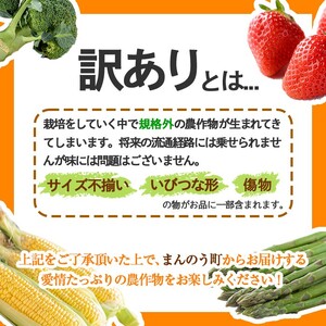 ＜期間限定！2026年3月上旬以降順次発送予定＞＜訳あり＞ホワイトアスパラガス(約1kg) 香川県 国産 野菜 アスパラ 新鮮 冷蔵便 【man081】【Aglio nero】