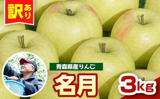【先行受付】【11月中旬以降順次発送】 りんご 3kg ぐんま名月 【訳あり】 青森県産  群馬名月 名月 農家直送 傷 キズ ワケアリ 林檎 リンゴ apple 青森県 五所川原市