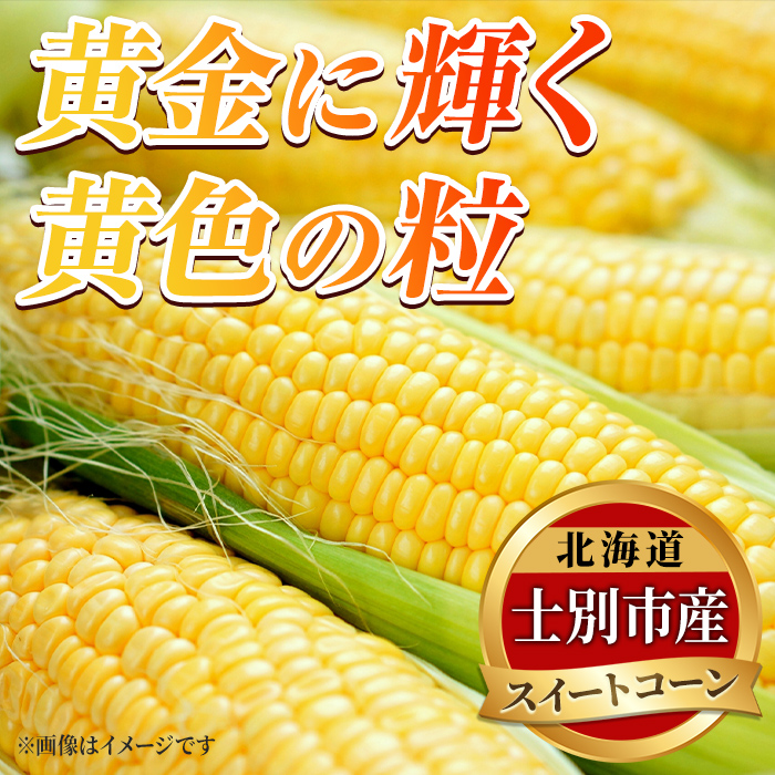 ＜期間限定＞天塩川源流スイートコーン ゴールドラッシュ (10本) 【2026年8月下旬より順次発送】北海道産 北海道 士別市 とうもろこし トウモロコシ とうきび コーン 野菜 産地直送 【三栄アグ