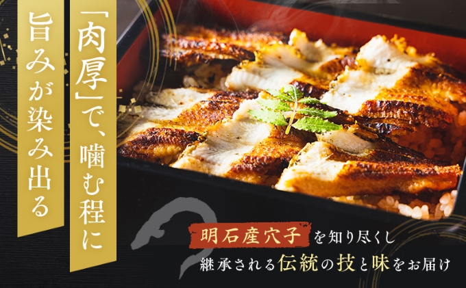 特選明石産炭焼き穴子（タレ3個付き） うなぎ 鰻 魚貝類 加工食品 