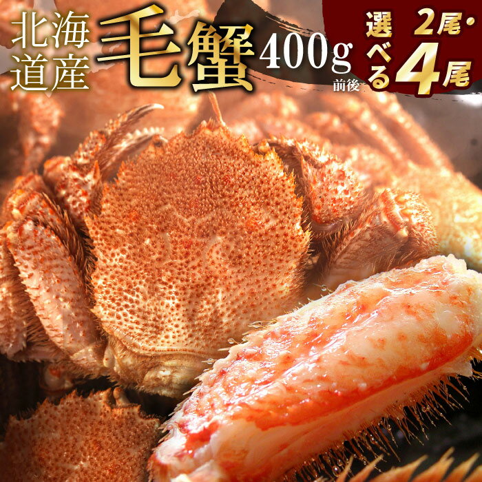 【ふるさと納税】 ボイル毛がに 400g 前後 選べる 2 尾 〜 4 尾 毛ガニ 毛蟹 かに カニ 蟹 海鮮 お取り寄せ グルメ 茹で蟹 茹でがに 茹でガニ ミソ カニミソ カニ味噌 蟹味噌 かに味噌 北海道 根室市 ふるさと納税