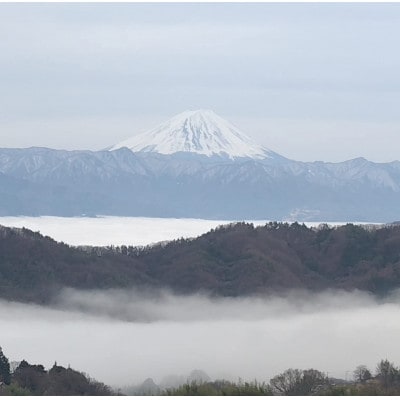 【2026年先行受付】2026年10月下旬発送「牧丘天空の丘ヌーベルローズ」 約1kg(2～3房)【配送不可地域：離島・北海道・沖縄県・中国・四国・九州】