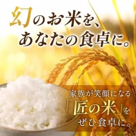 【発送月固定定期便】【先行予約】生産者応援!岐阜県産ハツシモ(精米)10kg【1～3月発送】全3回【配送不可地域：離島】【4089358】