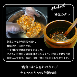 国産 味付牛ホルモン 600g 国産牛 味付けホルモン ホルモン 焼肉 炒め物 牛肉 味付け肉 国産ホルモン 冷凍 名物 老舗 有名店 創業昭和30年 八島丹山 贈答 熨斗 お取り寄せ グルメ 京都 