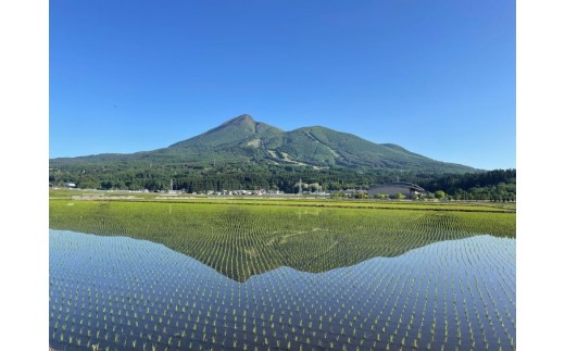 【6ヵ月定期便】ギネス認定「世界最高米®」ゆうだい21 白米 6回×5kg 計30kg | 米 こめ 白米 精米 ごはん 5キロ 国産米 ブランド米 金賞 日本一 猪苗代町産 福島県産 農家直送 産地
