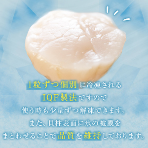 【先行予約】ほたて ＜訳あり＞ 貝柱 1.1kg 加熱用 帆立 ホタテ 石巻市