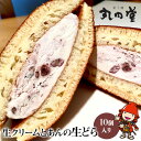 【ふるさと納税】生どら 10個入 生クリームとあんが生きているどら焼き どら焼き 和菓子 なまどら どらやき 菓子舗丸円堂 大分県 中津市 国産 送料無料／熨斗対応可 お歳暮 お中元 など