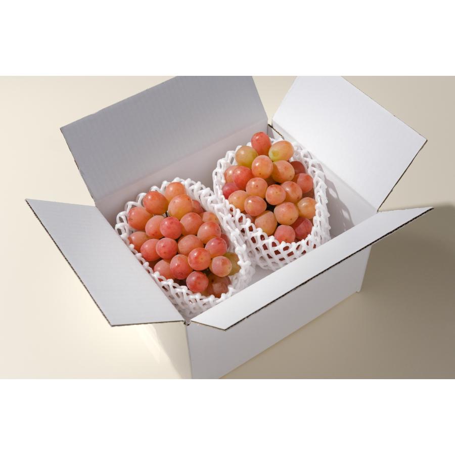 ＜Bonchi＞甲州市産サンシャインレッド2房入(1.1kg)自然農法
